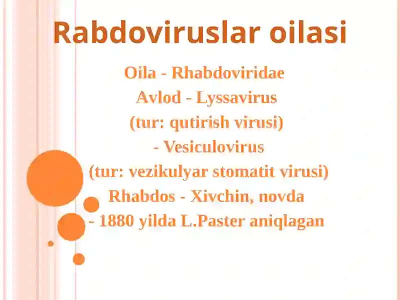 Rabdoviruslar 2