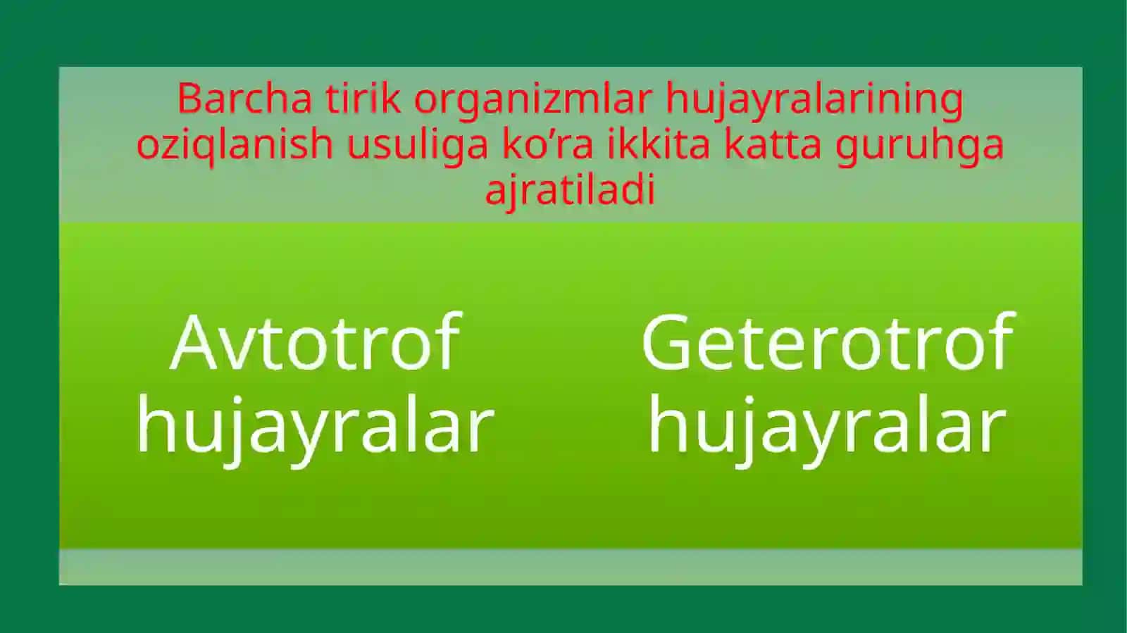 Hujayraning oziqlanishi 2