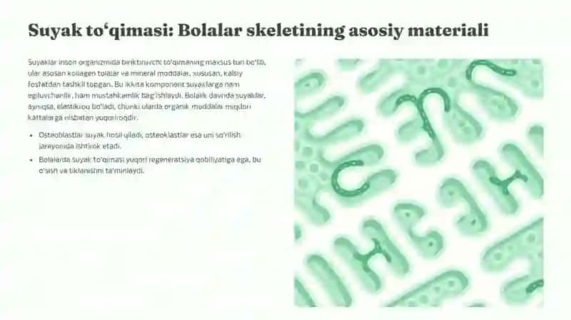 Bolalarda suyak tizimini anatomo-fiziologik hususiyatlari. Skletni o'sishi va shakllanishi. Suyak usti paradasi hususiyatlari. 2