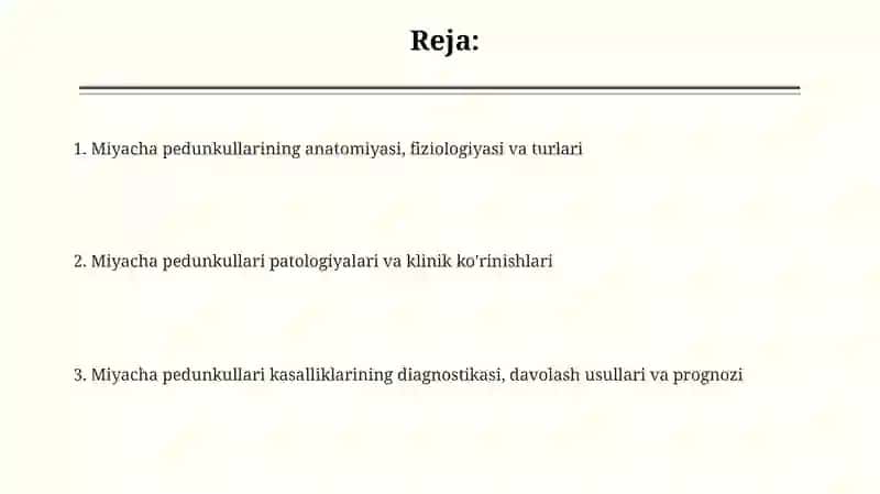 Miyacha pedunkullari: Anatomiya va Fiziologiya 2