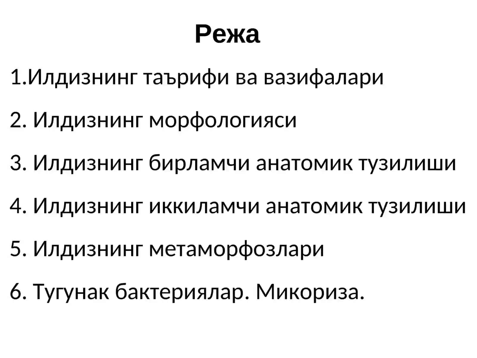 Вегетатив органлар. Илдиз ва илдизлартизими 2