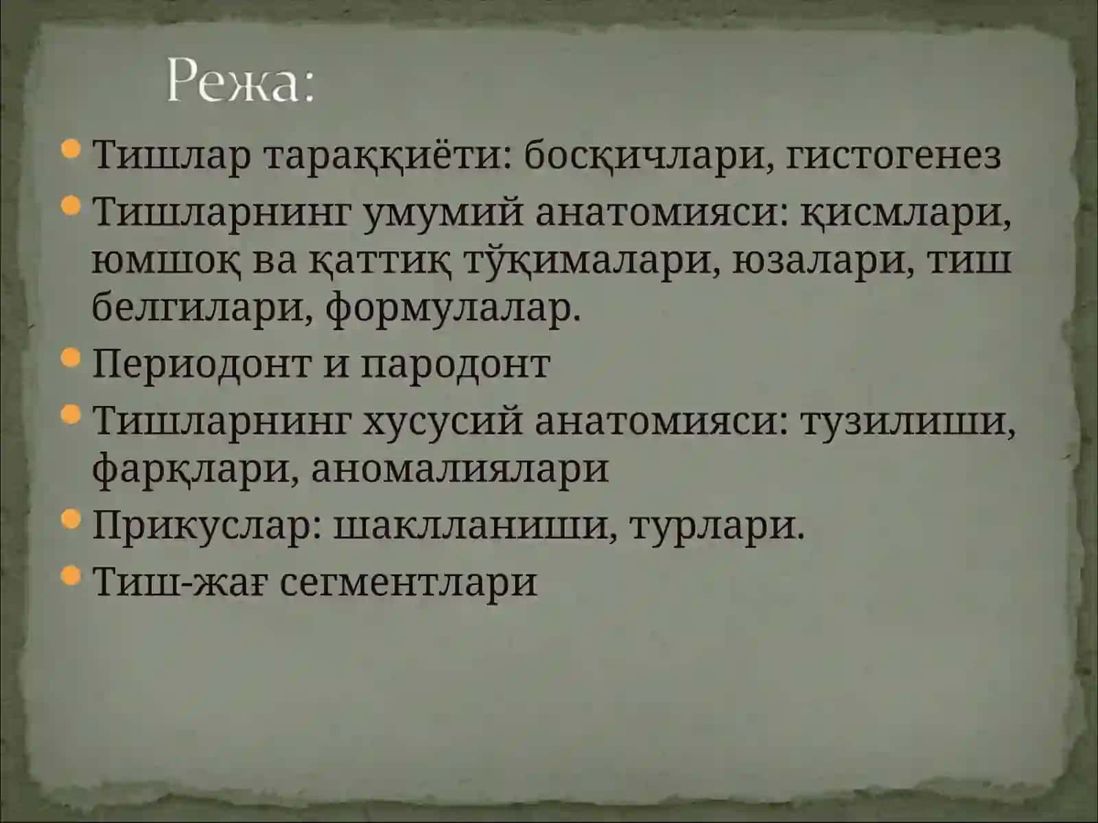 Тишларнинг хусусий анатомияси 2
