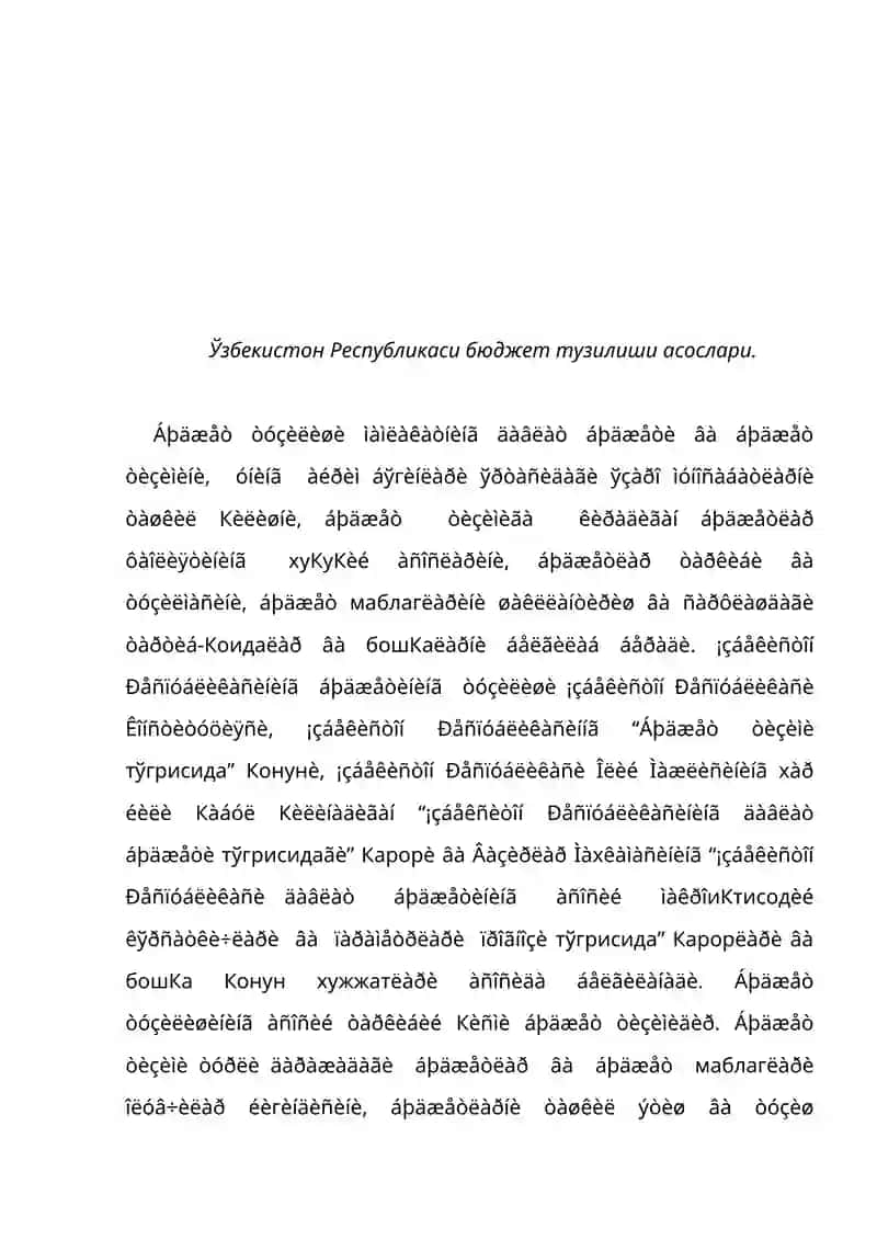 Бюджет тузилиши 2