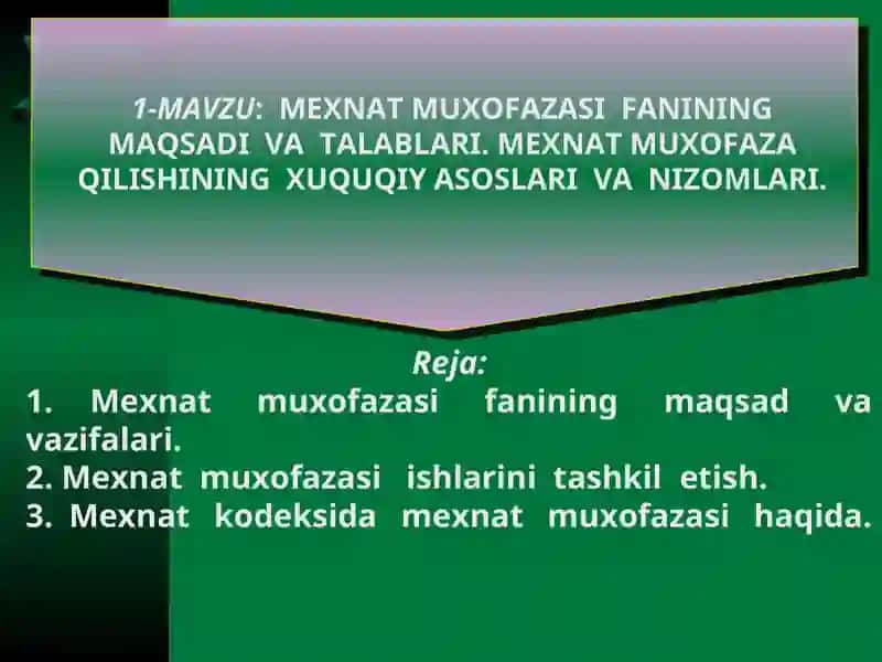 MEHNAT MUXOFAZASI 2
