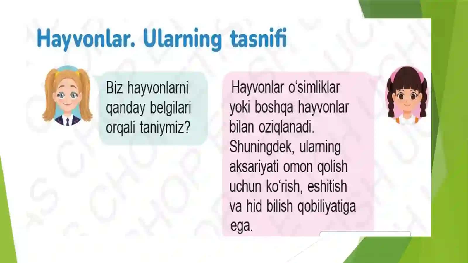 Hayvonlar 2