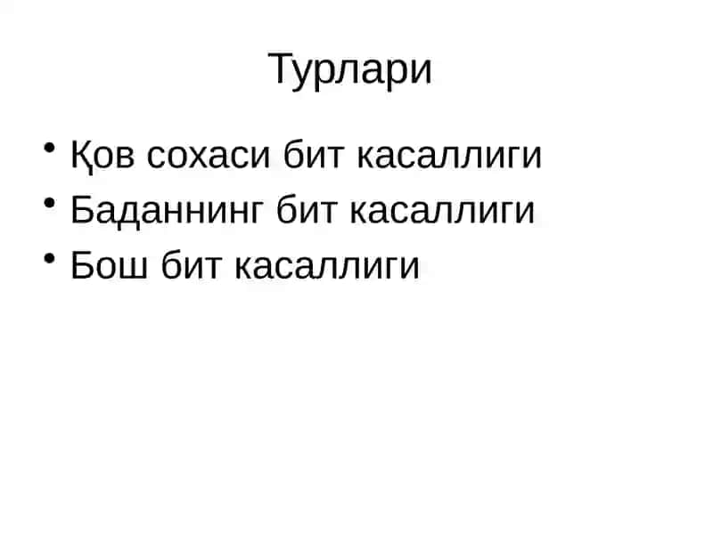 Битлаш (педикулёз) 2
