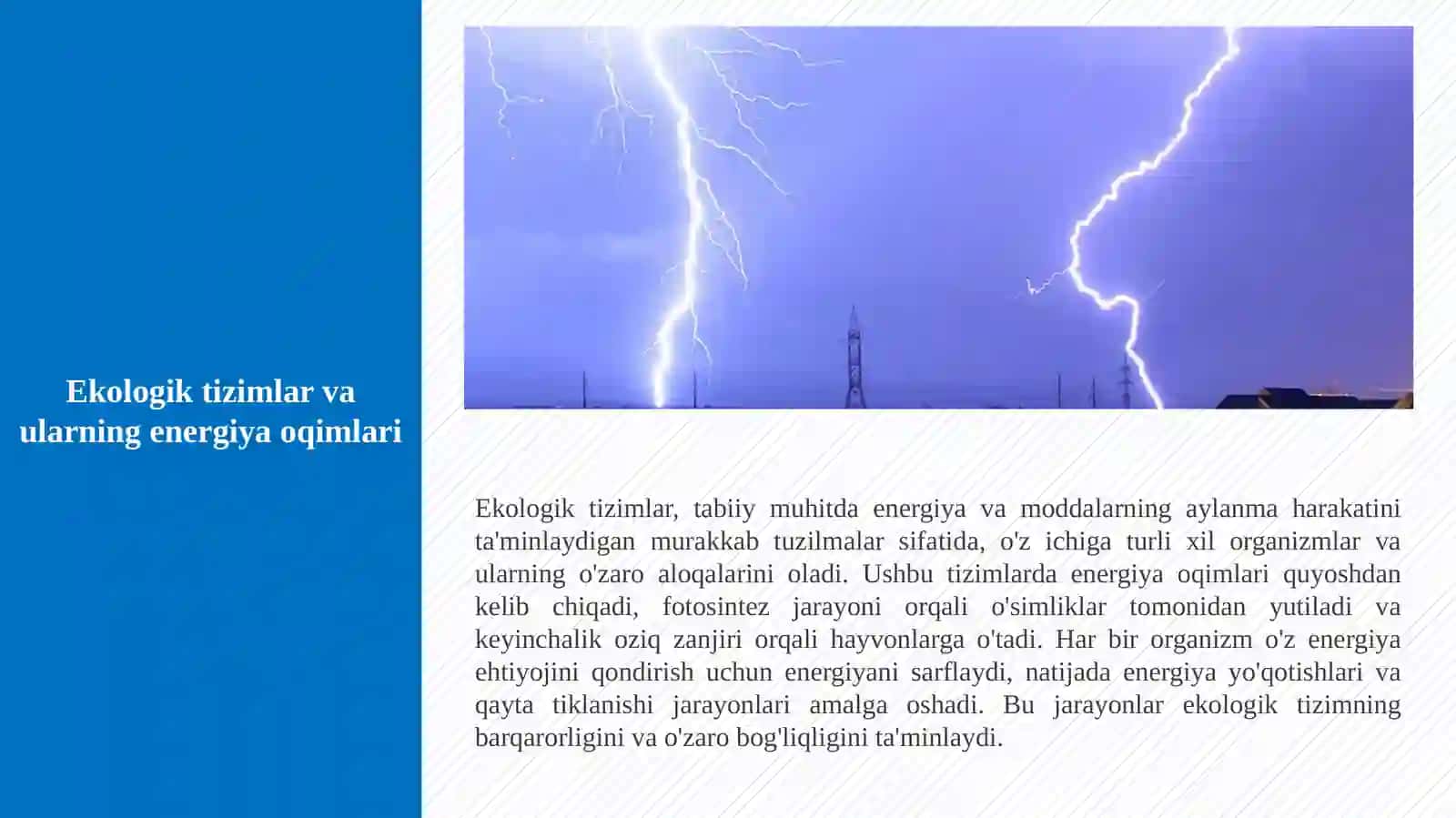 Biosferada energiya va moddalarning aylanma harakati. 2