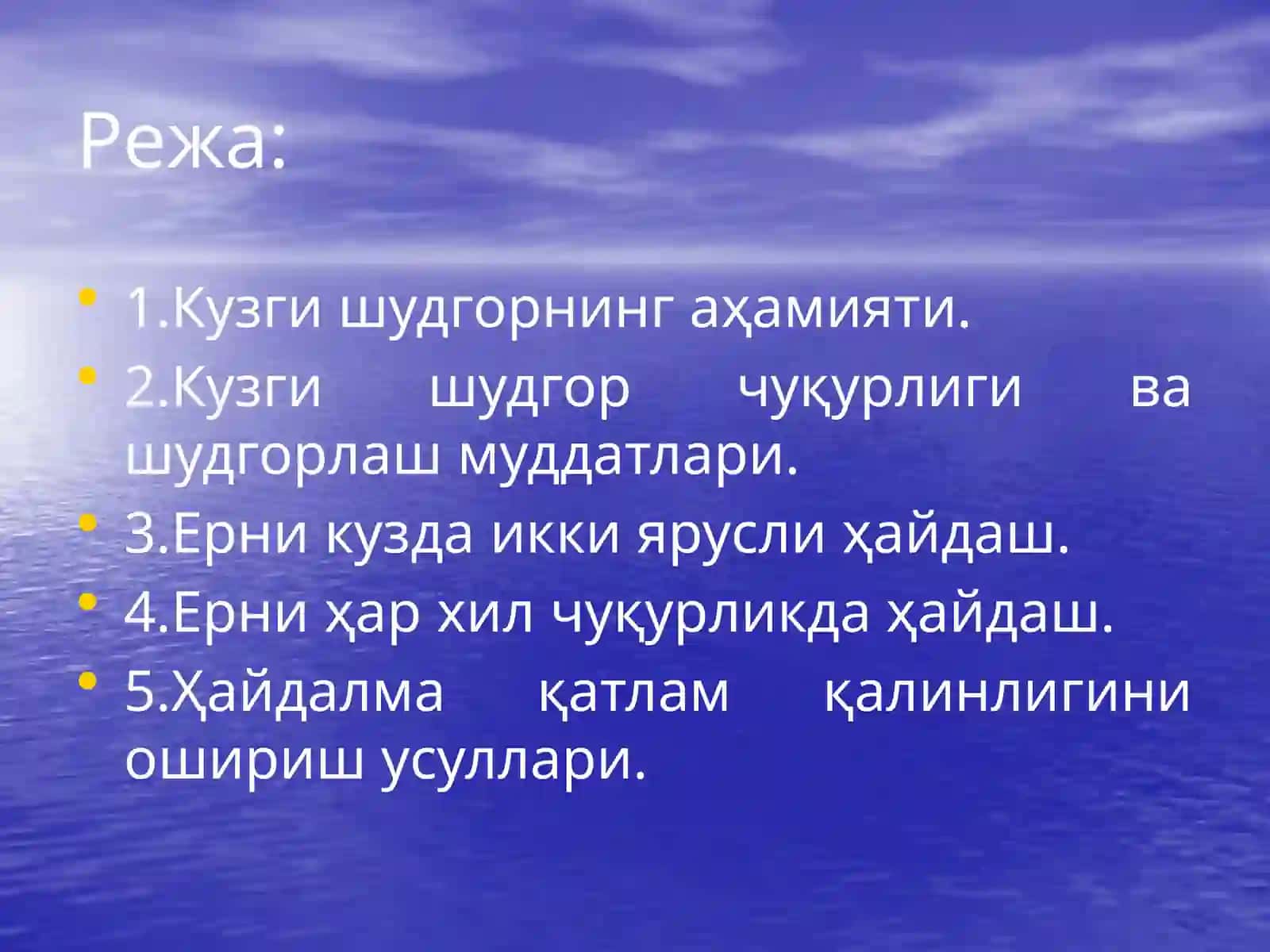 Кузги шудгор 2