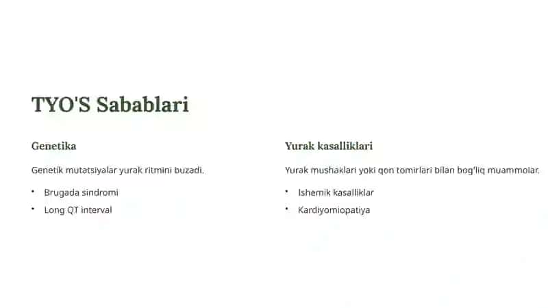 TYO'S Ta'rifi va Qisqacha Ma'lumot 2