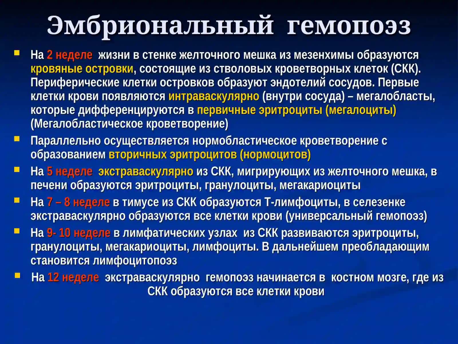Гемопоэз 2