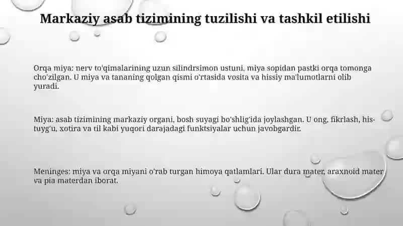 Markaziy Nerv Sistemasi Fiziologiyasi 2