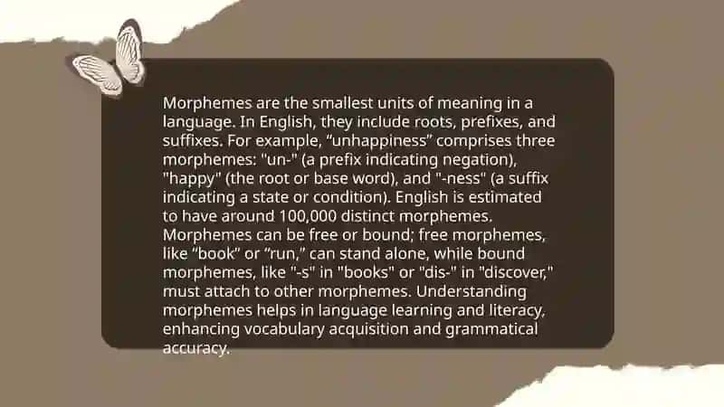 Mophology 3