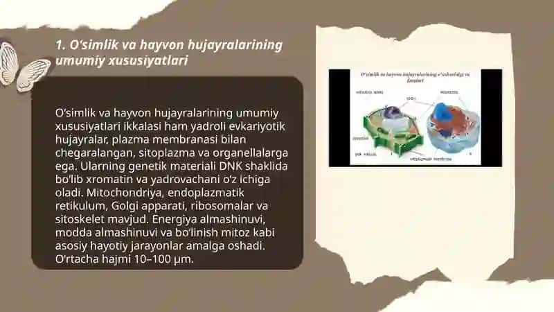 Oʻsimlik va hayvon hujayralari oʻxshashligi va farqi 3