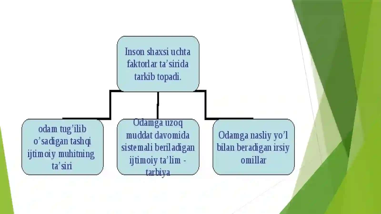 XULQ-ATVORNING PSIXOFIZIOLOGIK ASOSI 3