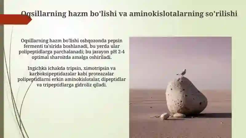 Odam organizmi da oqsilarning biokimyoviy o'zgarishi 3