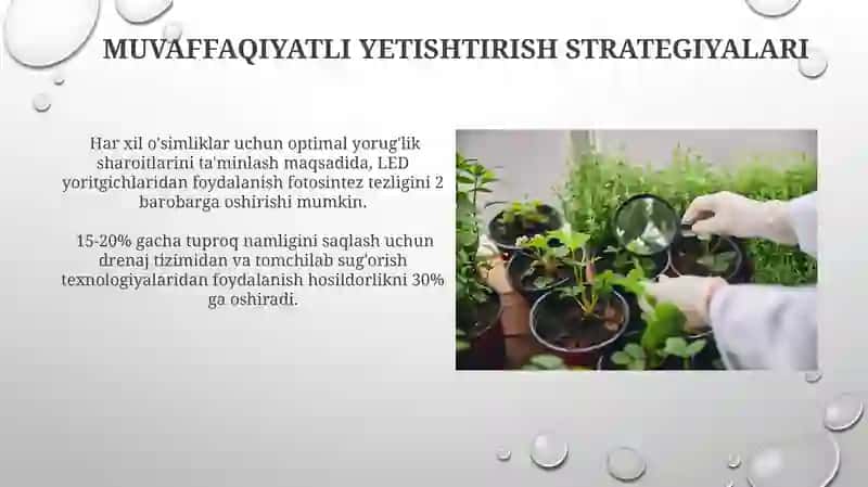 Turli Ekologik Sharoitlarda O'simliklarni Yetishtirish 3