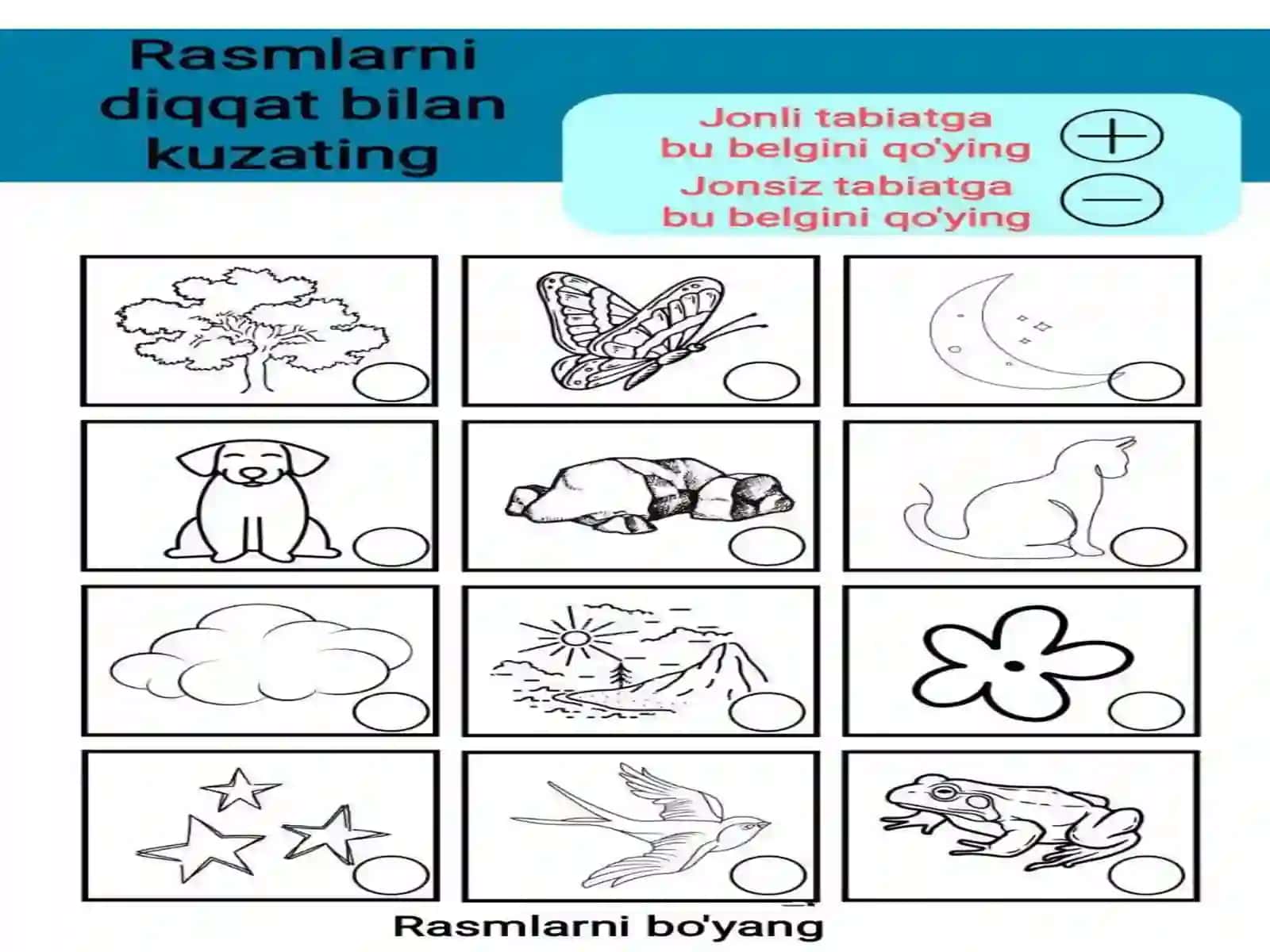 Tabiatshunoslik fanidan mavzular bo'yicha sun'iy materiallar 3
