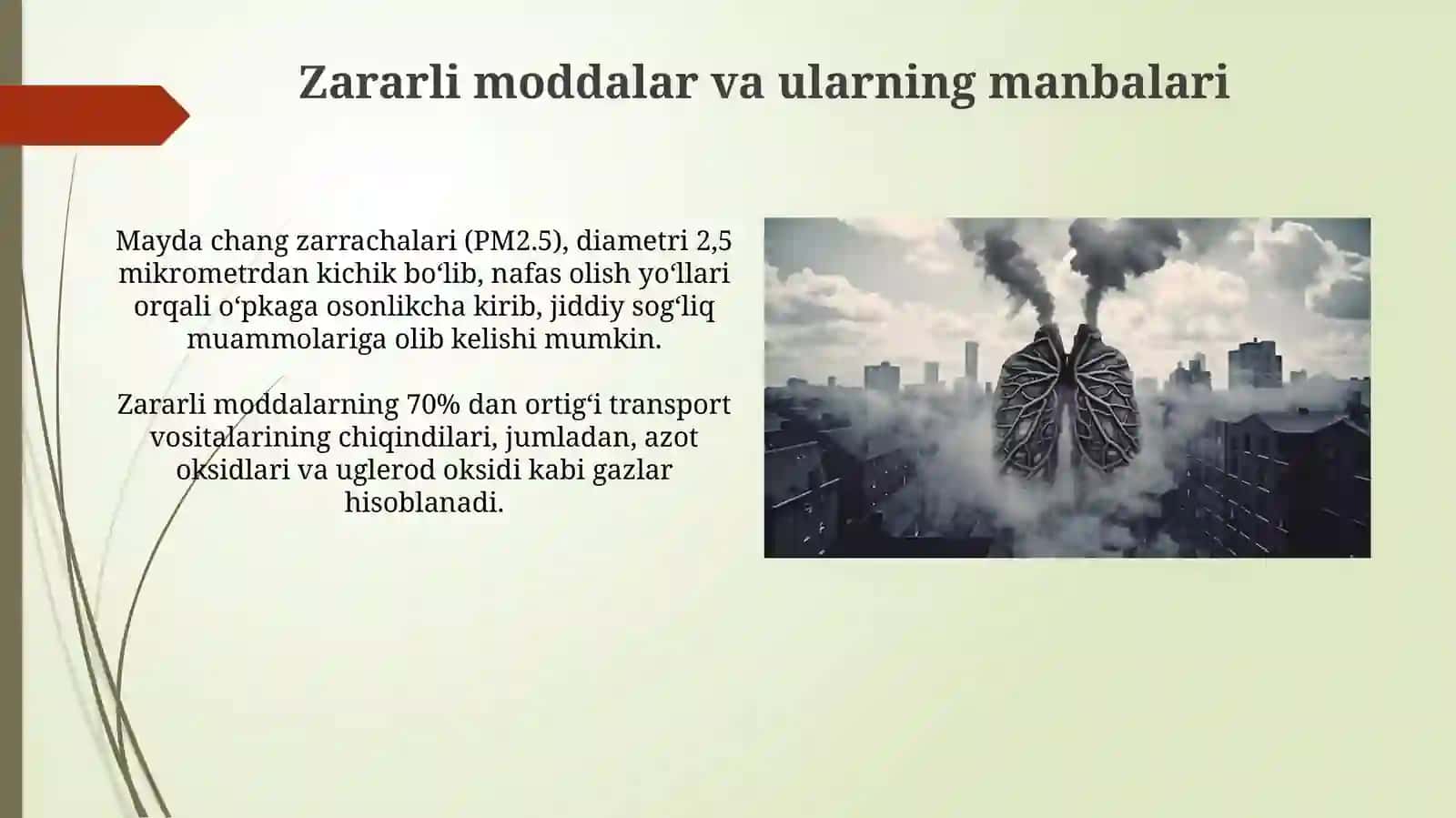 Atmasfera havosini ifloslanishi va uning insonorganizmgatasiri 3