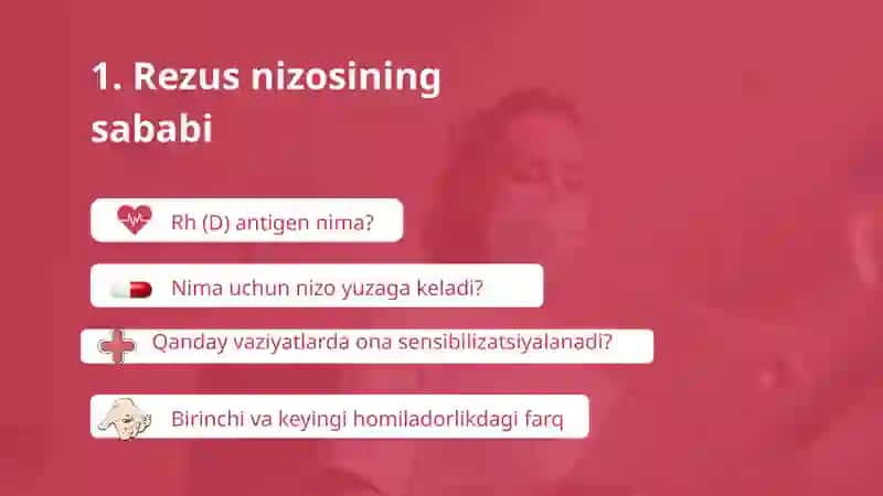rezus nizosi 3