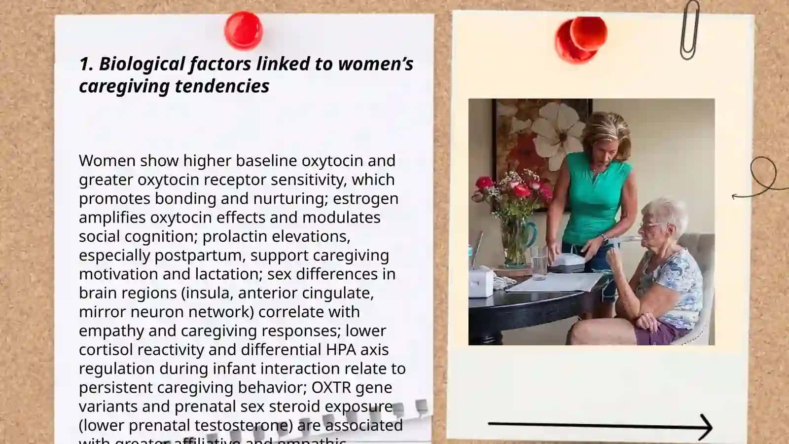 Biological factors linked to women’s caregiving tendencies 3