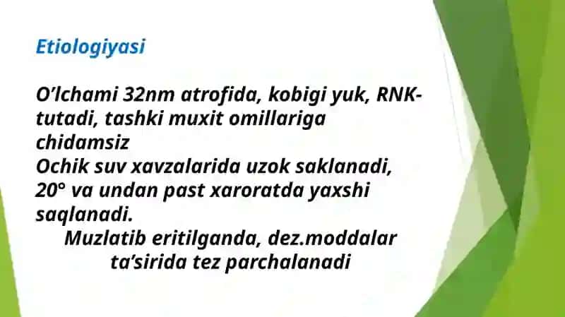 Virusli gepatit E etiologiyasi, patogenezi va davolash 3