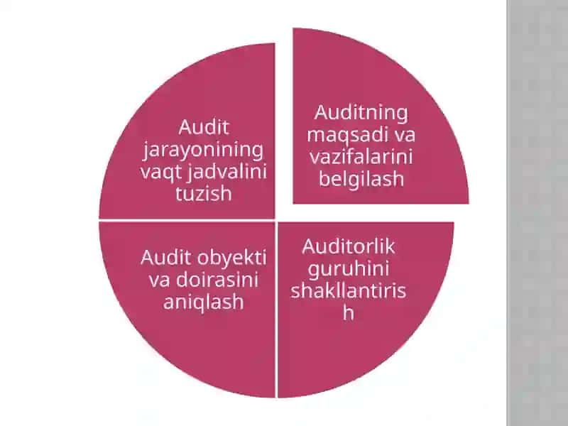 Audit tekshiruvining tashkiliy asoslari , audit strategiyasi va texnologiyasi 3