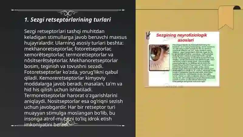 Sezgining reflektor va retseptor nazariyalari va sezgilarning nerv-fiziologik asoslari 3