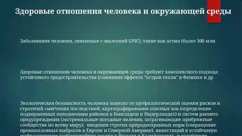 Экологические заболевания человека и экологическая безопасность человека 3