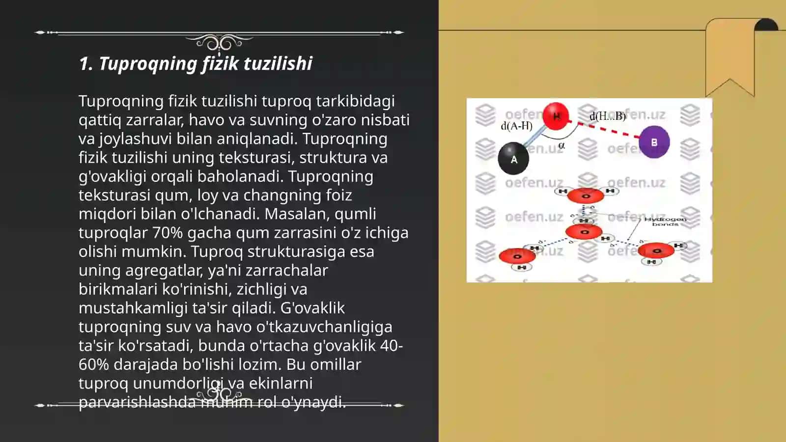 Tuproq morfologiyasi va sitiurukturiyasini o‘rganish 3