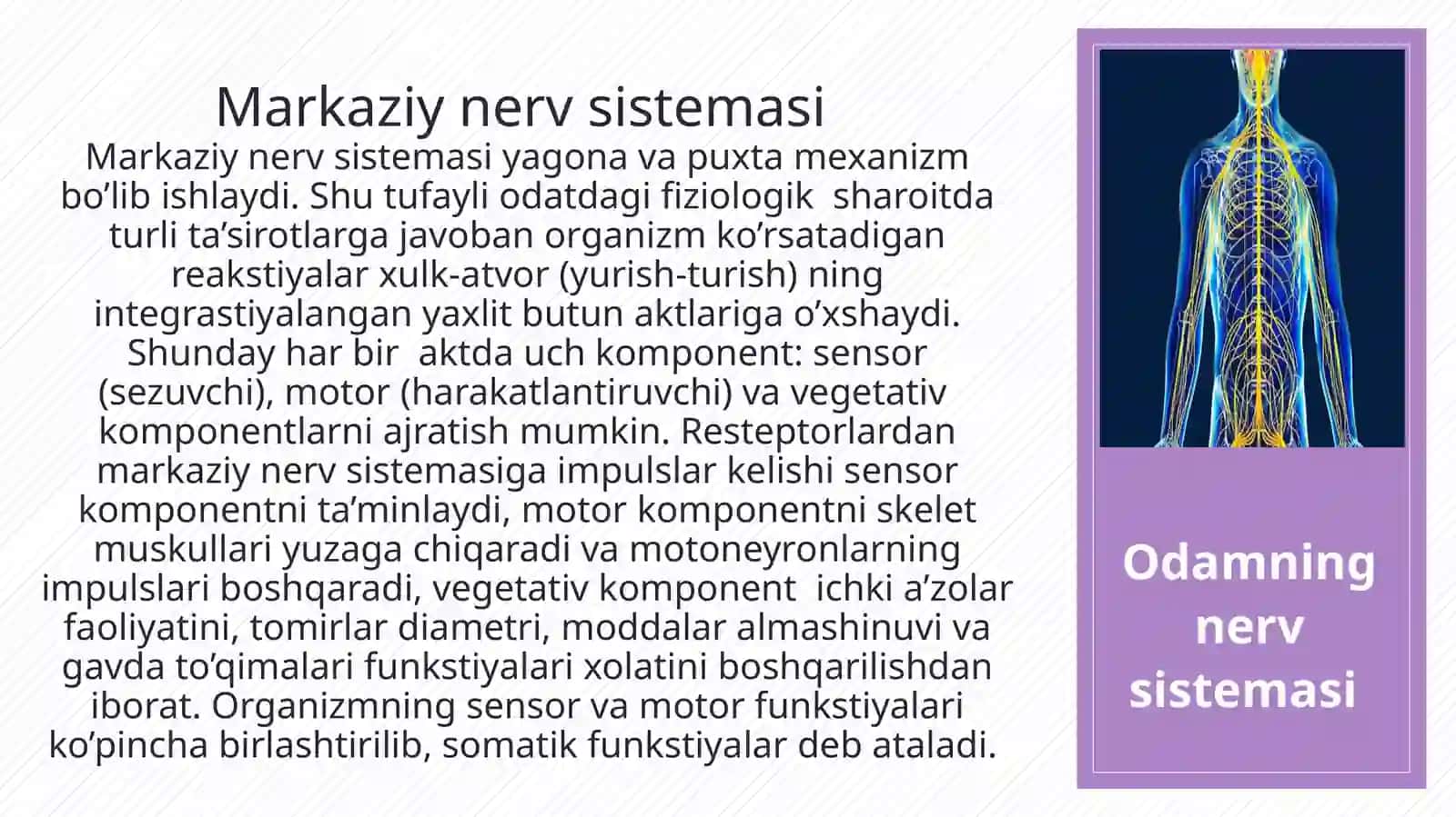 Fiziologiya Amaliy mashg’ulot 3