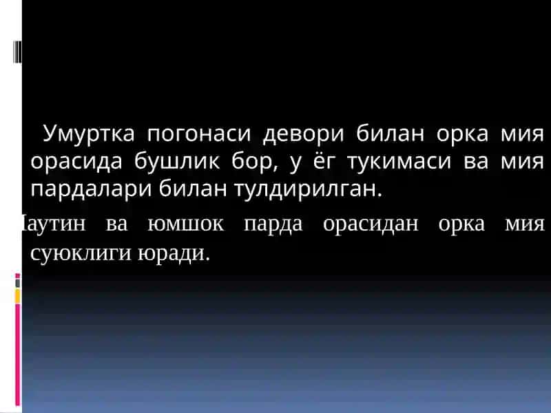 Орка мия 3