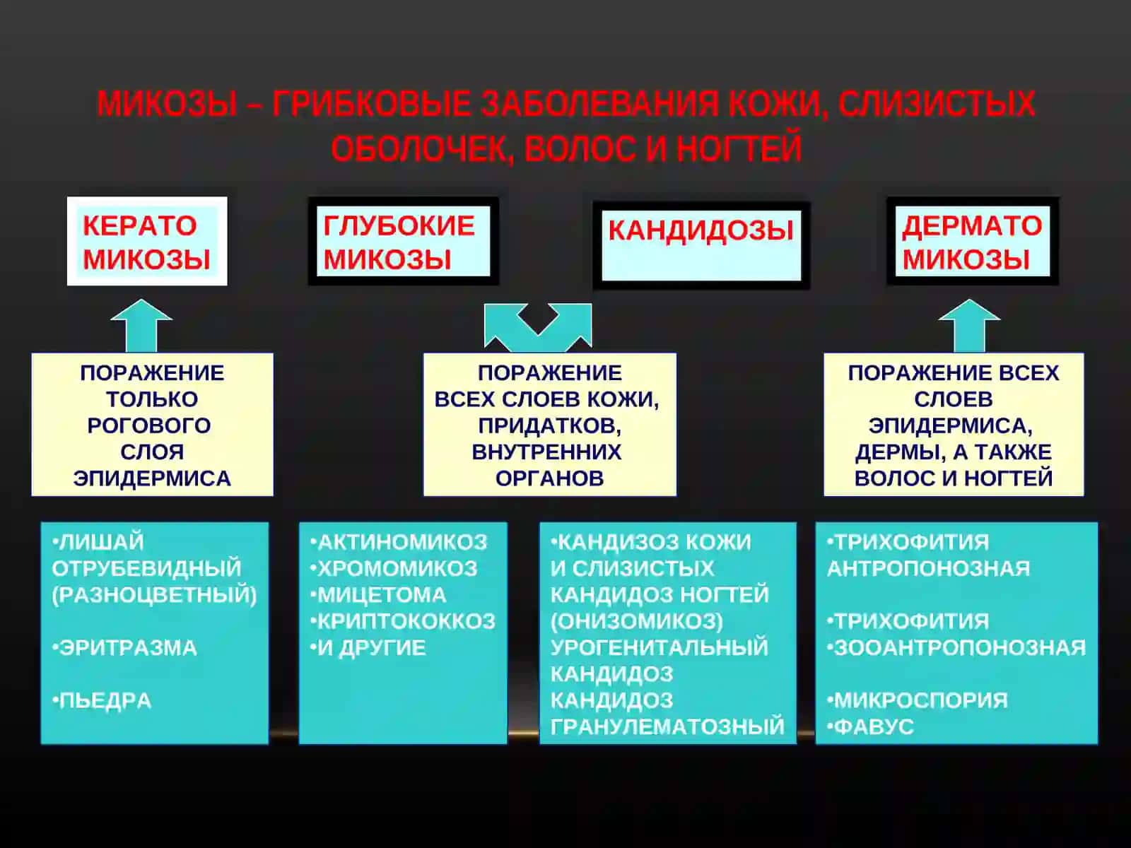 Кератомикозы (отрубевидный лишай, эритразма): особенности эпидемиологии, клинической картин 3