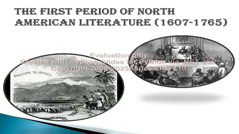 American literature 3
