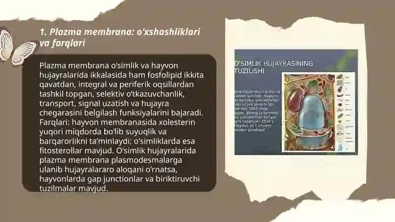 Oʻsimlik va hayvon hujayralari oʻxshashligi va farqi 3