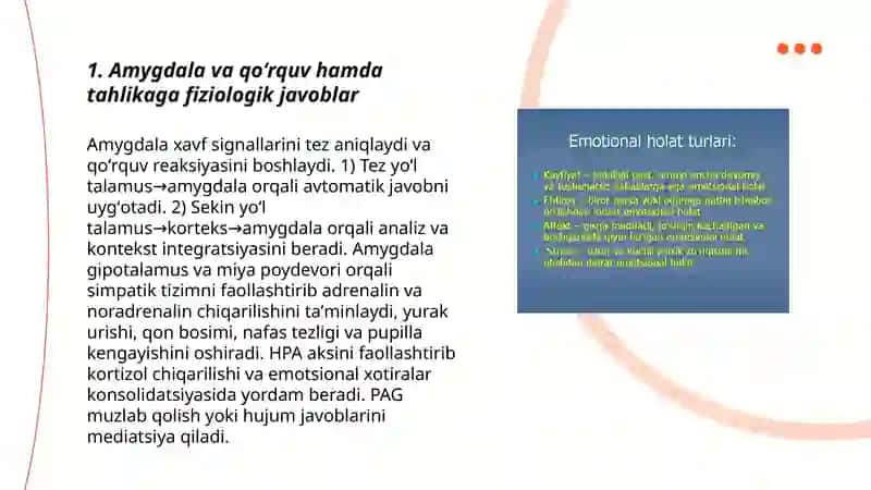 Emotsional reaksiyalarning fiziologik mehanizmlari 3