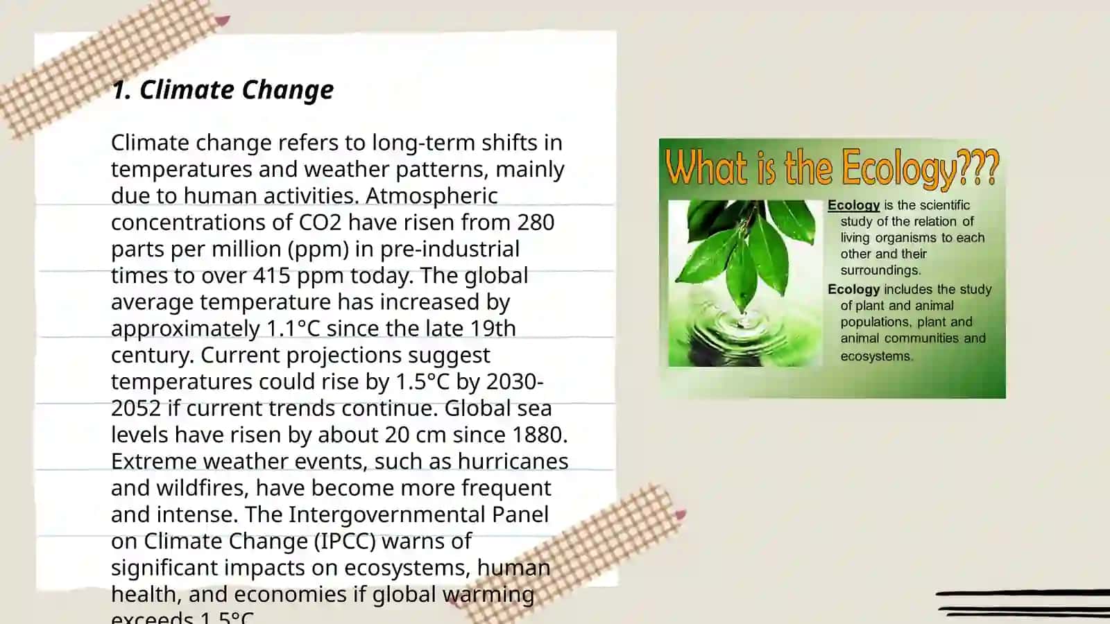 Ecological problems 3