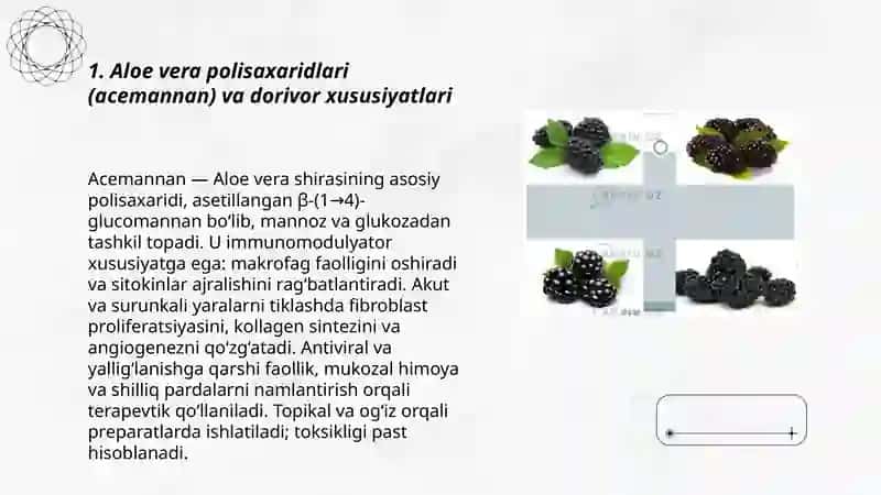 Aloe vera polisaxaridlari (acemannan) va dorivor xususiyatlari 3