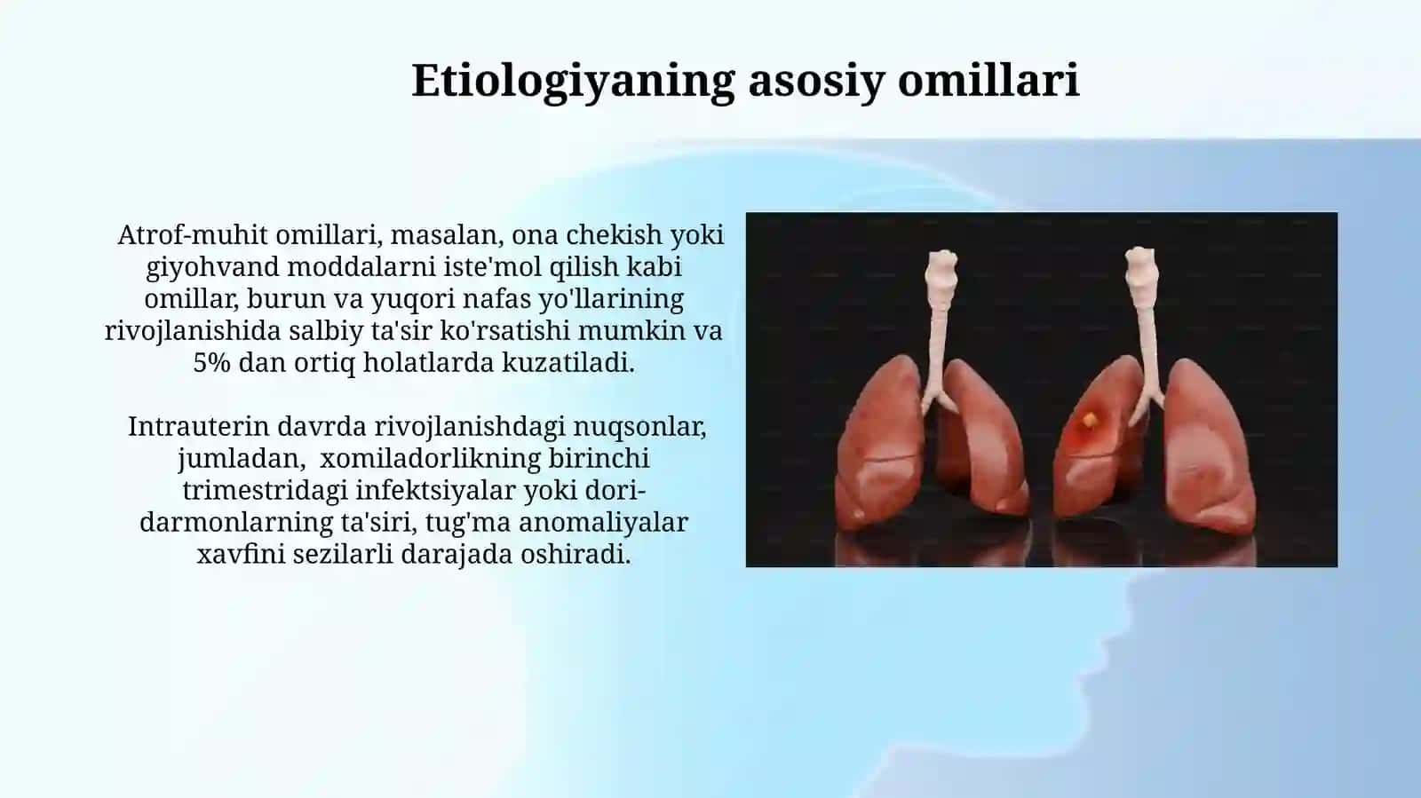 Burun va yuqori nafas yo'llari anomaliyalari: etiologiya va tasnifi 3