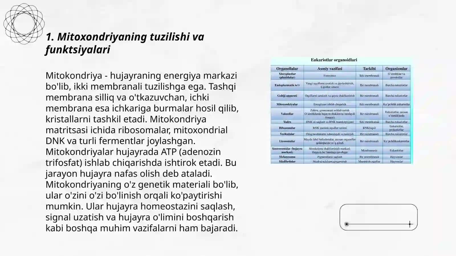 Mitoxondriyaning tuzilishi va funktsiyalari 3