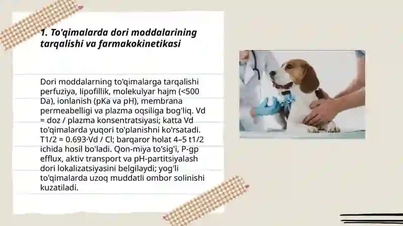 To'qima va periparatlar farmakologiyasi 3