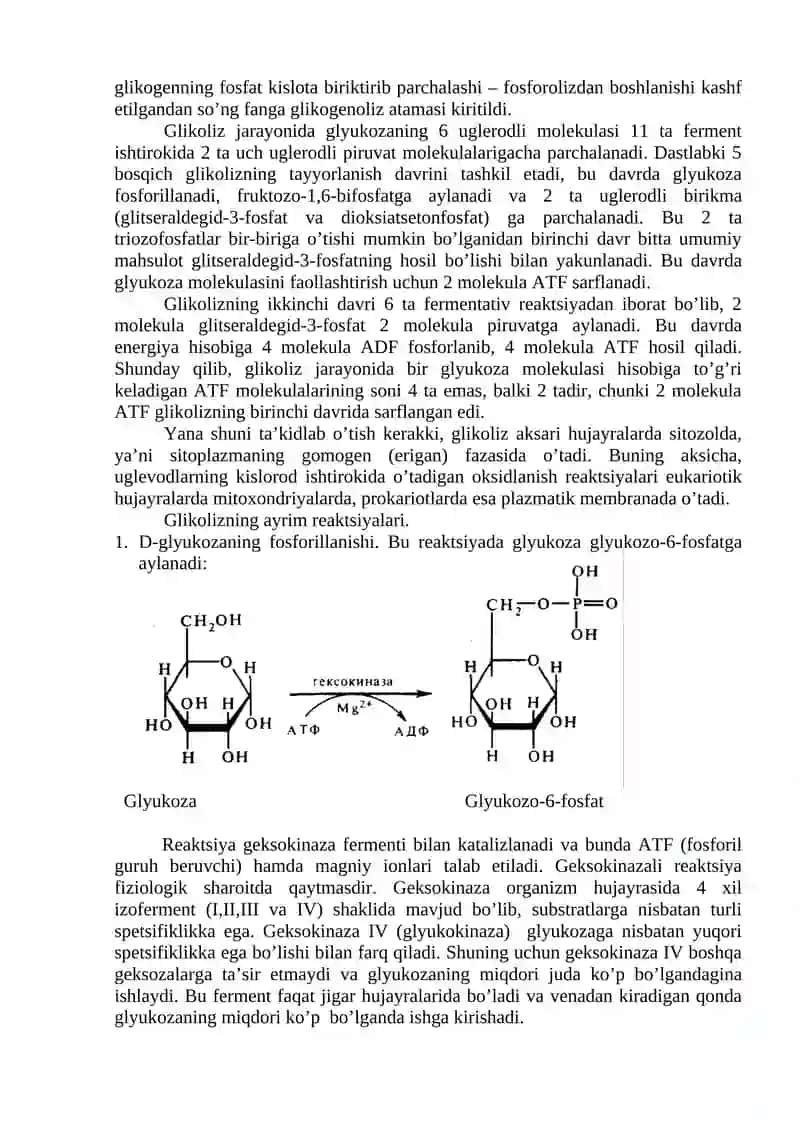Energiyaning anaerob hosil bo’lishi 3
