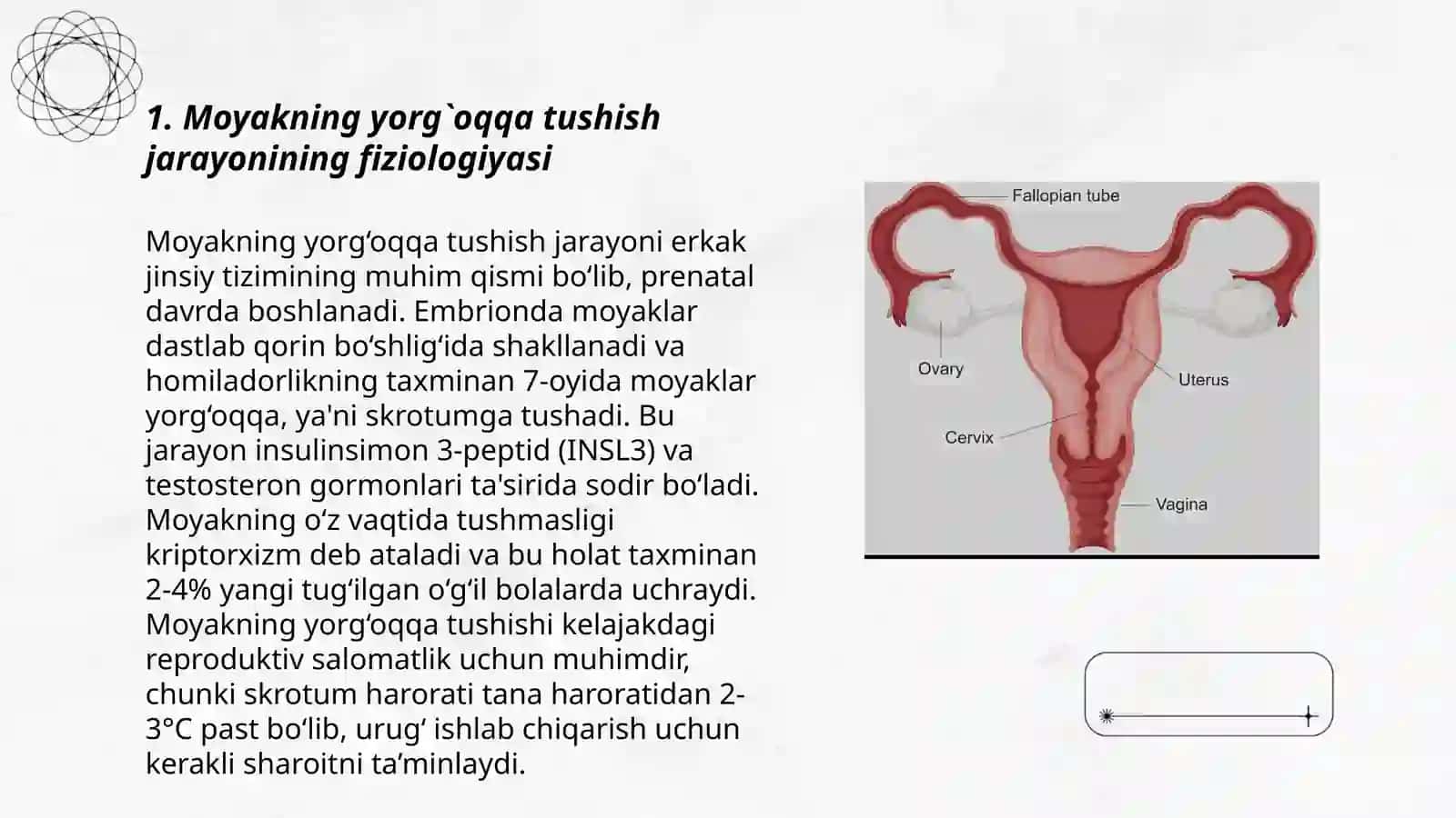 Moyakning yorg`oqqa tushish jarayoni va jinsiy a'zolarning rivojlanish nuqsonlari 3