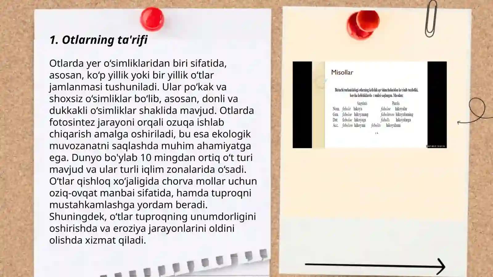 Abu Ali Ibn Sino nomidagi jamoat salomatligi tibbiyot texnikumi 3