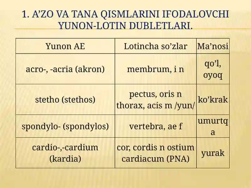 KLINIK TERMINLAR YASOVCHI ATAMA ELEMENTLAR 3