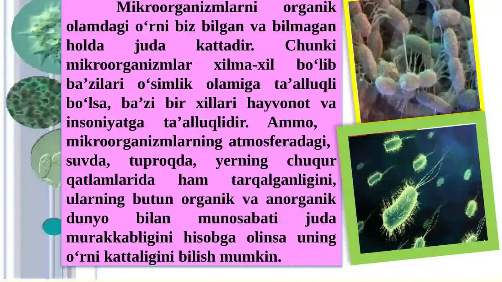 Mikroorganizmlar haqida tushuncha 3