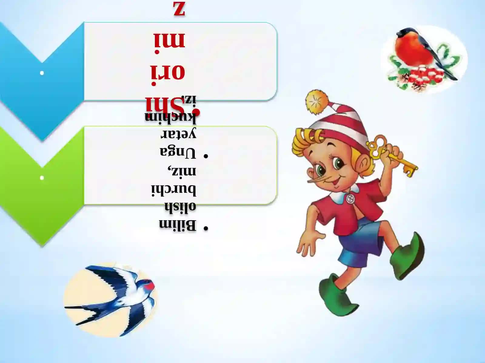 Qushlar qayda qo`noqlar? 3