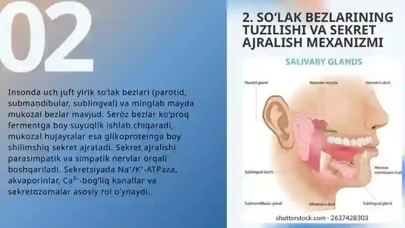 SOʼLAK BIOKIMYOSI 3