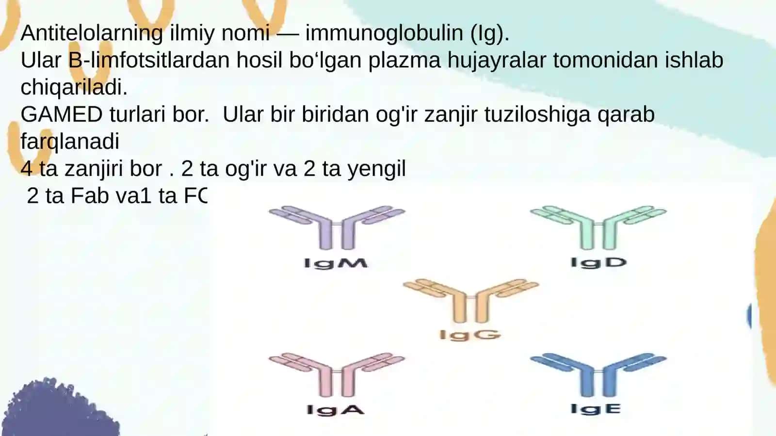 Immunoglobulinlar 3