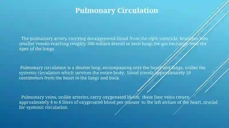 Circulatory system 3