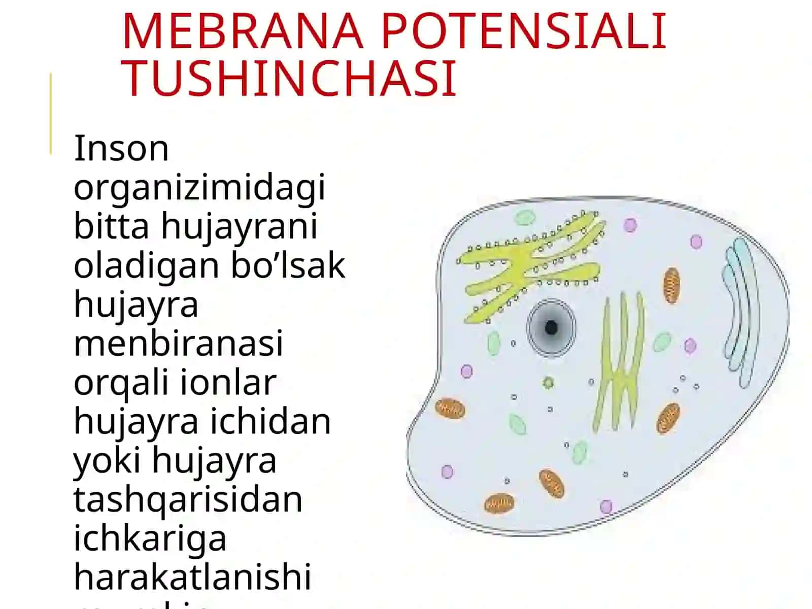 MEMBRANA POTENSIALINING TABIATI QANDAY 3